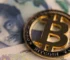 Vertotradinggroup.com